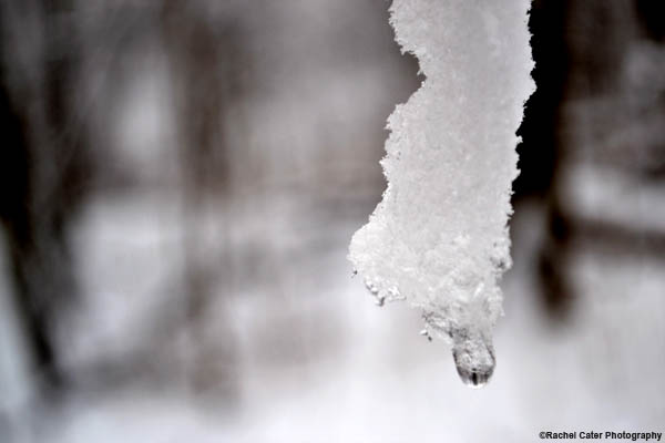dangling-ice-rachel-cater-photography