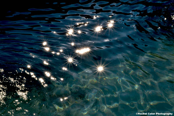 water stars Rachel Cater Photography
