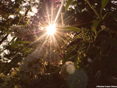 A little bit of&nbsp;magic