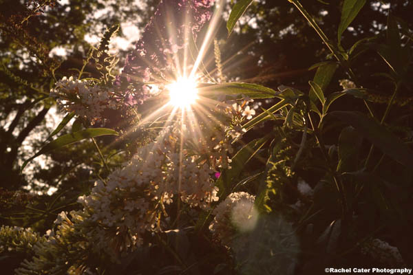 A little bit of magic