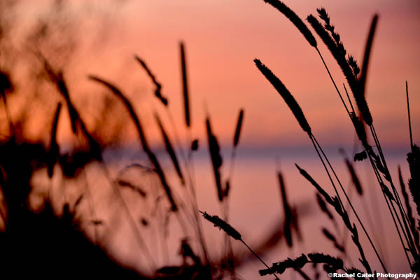 dawn of a new day rachel cater photography