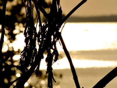 Beach Views in&nbsp;Toronto